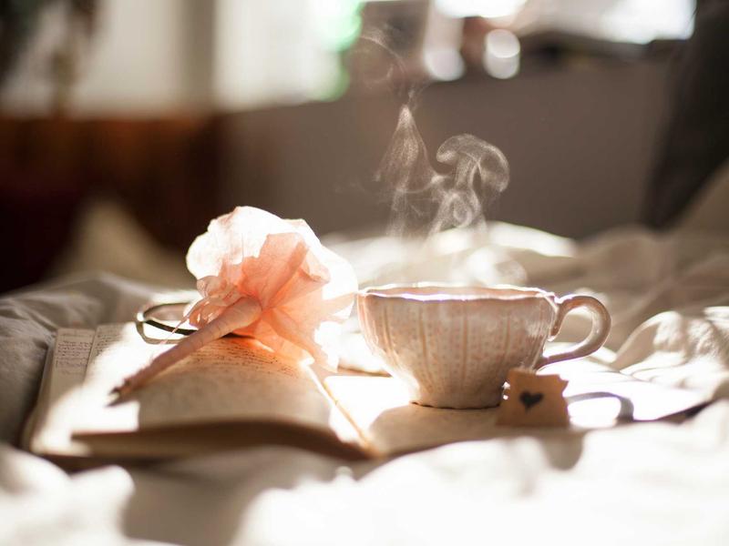 气味图书馆<br>qyn4ntkw.cn 雨后泥土芬芳